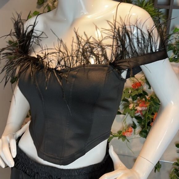 Micas Feathered Trim Off the Shoulders Satin Corset Style Crop Top RefHHH‎ - Picture 1 of 12